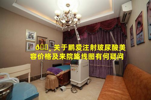🌸 关于鹏爱注射玻尿酸美容价格及来院路线图有何疑问